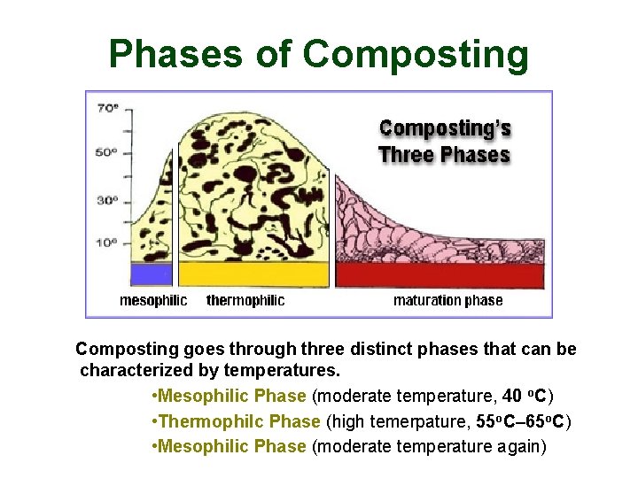 Phases of Composting goes through three distinct phases that can be characterized by temperatures.