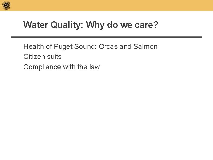 Water Quality: Why do we care? Health of Puget Sound: Orcas and Salmon Citizen