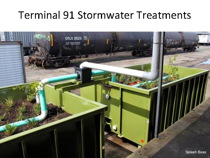 Terminal 91 Stormwater Treatments 