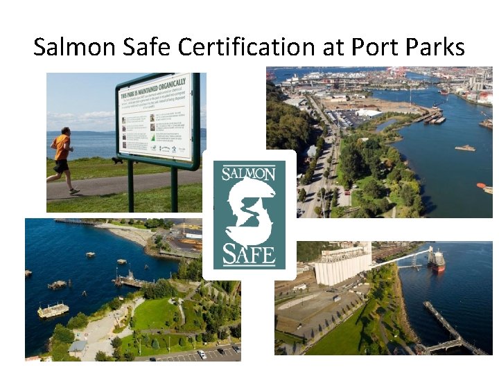Salmon Safe Certification at Port Parks 