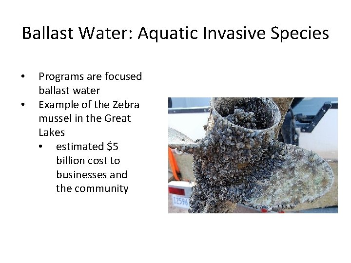 Ballast Water: Aquatic Invasive Species • • Programs are focused ballast water Example of
