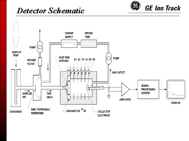 Detector Schematic 