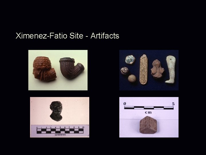 Ximenez-Fatio Site - Artifacts 