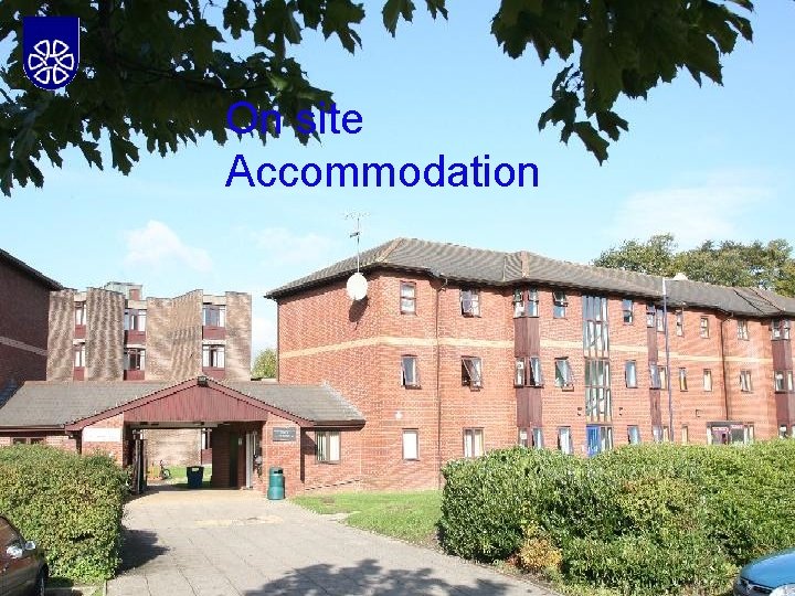 On site Accommodation 