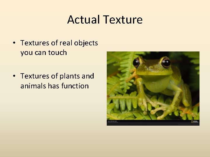 Actual Texture • Textures of real objects you can touch • Textures of plants Actual Texture • Textures of real objects you can touch • Textures of plants