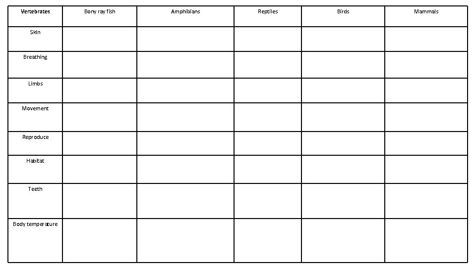 Vertebrates Skin Breathing Limbs Movement Reproduce Habitat Teeth Body temperature Bony ray fish Amphibians