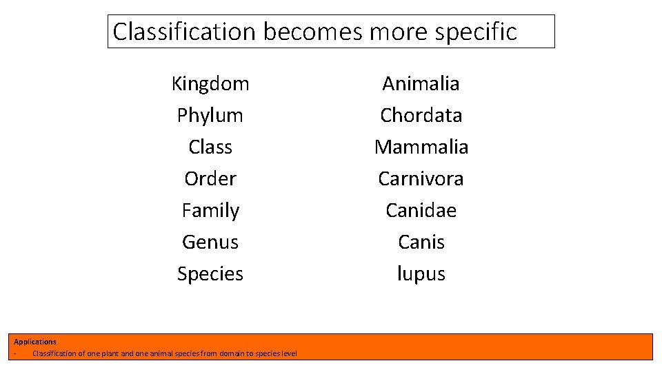 Classification becomes more specific Kingdom Phylum Class Order Family Genus Species Applications Classification of