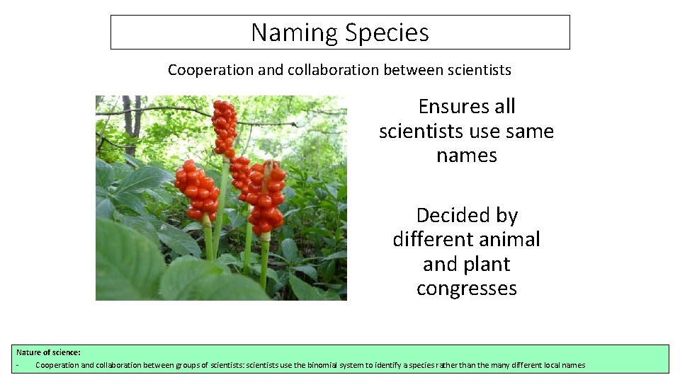 Naming Species Cooperation and collaboration between scientists Ensures all scientists use same names Decided