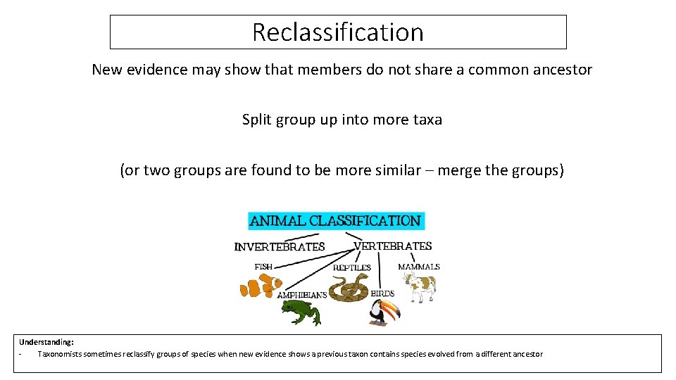 Reclassification New evidence may show that members do not share a common ancestor Split