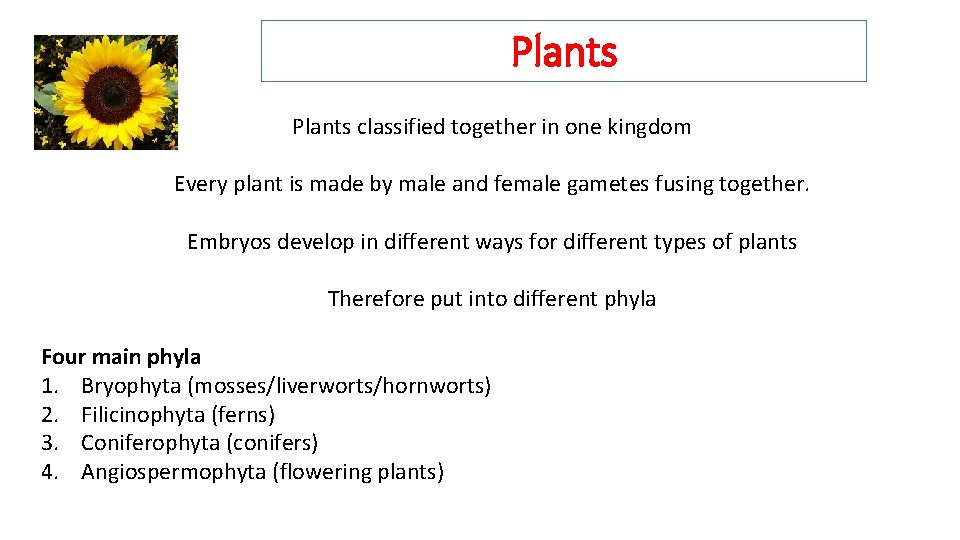 Plants classified together in one kingdom Every plant is made by male and female