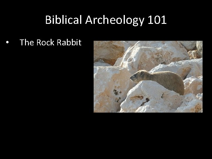 Biblical Archeology 101 • The Rock Rabbit 