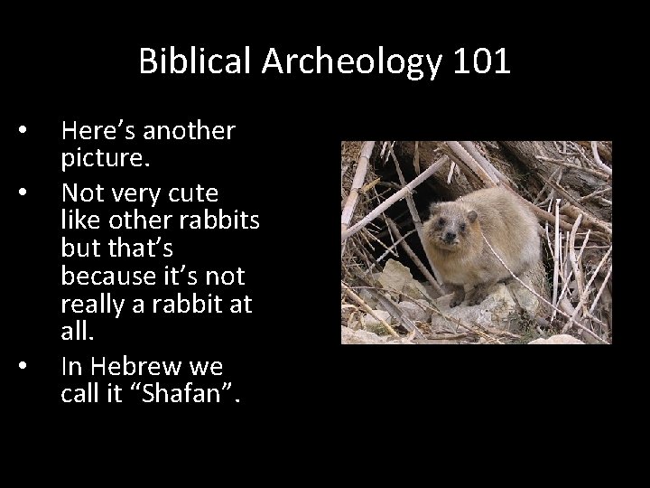 Biblical Archeology 101 • • • Here’s another picture. Not very cute like other