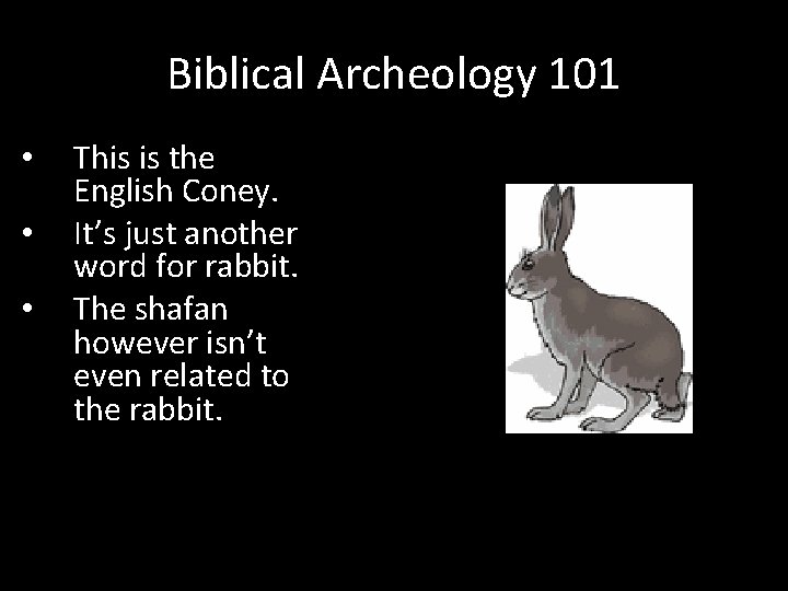 Biblical Archeology 101 • • • This is the English Coney. It’s just another