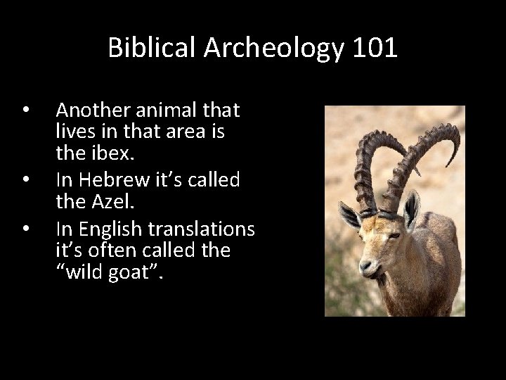 Biblical Archeology 101 • • • Another animal that lives in that area is