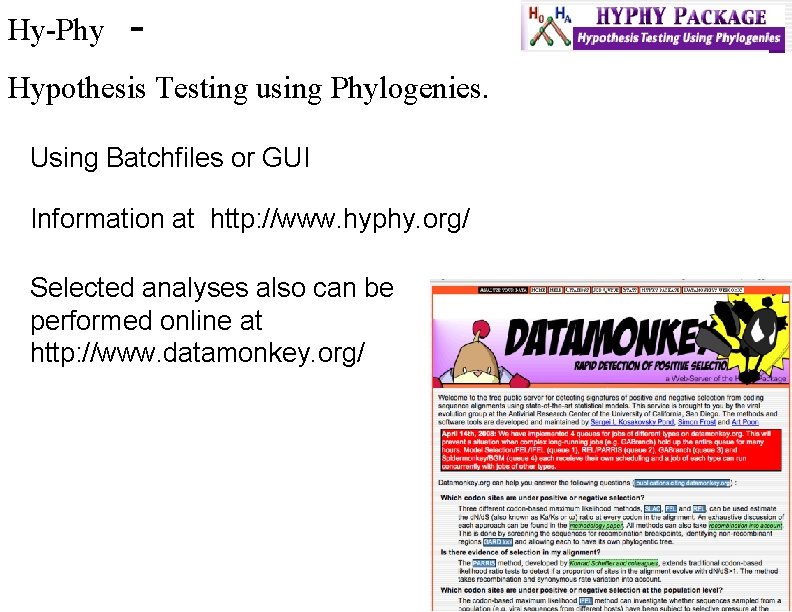 Hy-Phy - Hypothesis Testing using Phylogenies. Using Batchfiles or GUI Information at http: //www.