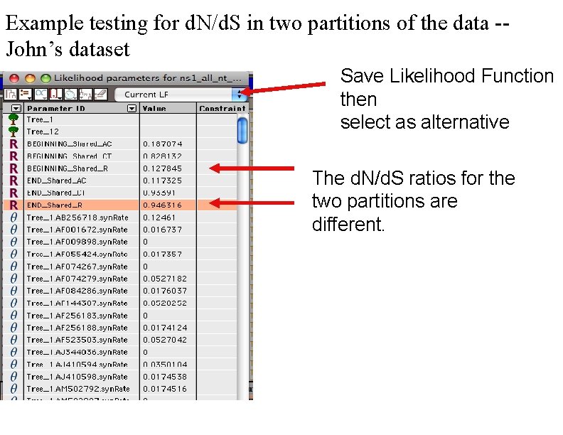 Example testing for d. N/d. S in two partitions of the data -John’s dataset