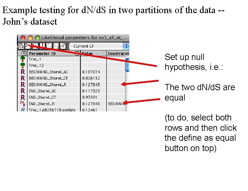Example testing for d. N/d. S in two partitions of the data -John’s dataset