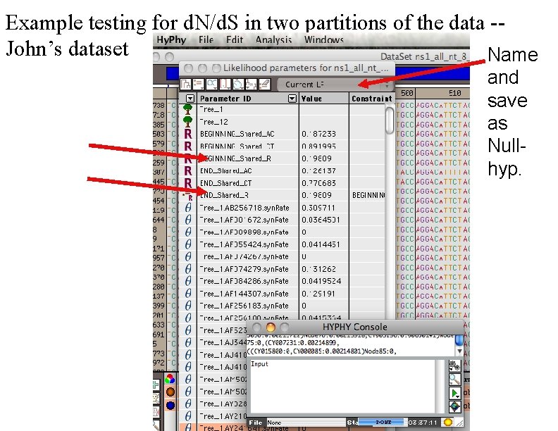 Example testing for d. N/d. S in two partitions of the data -John’s dataset