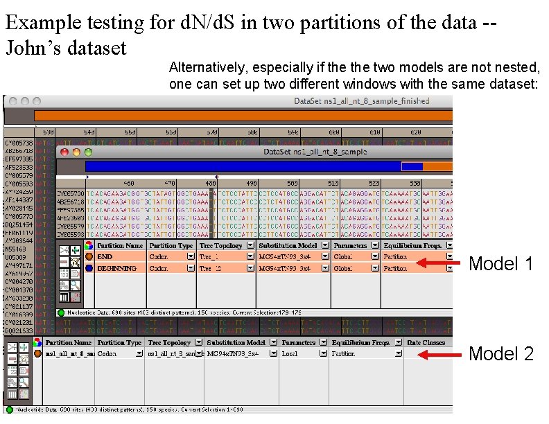 Example testing for d. N/d. S in two partitions of the data -John’s dataset