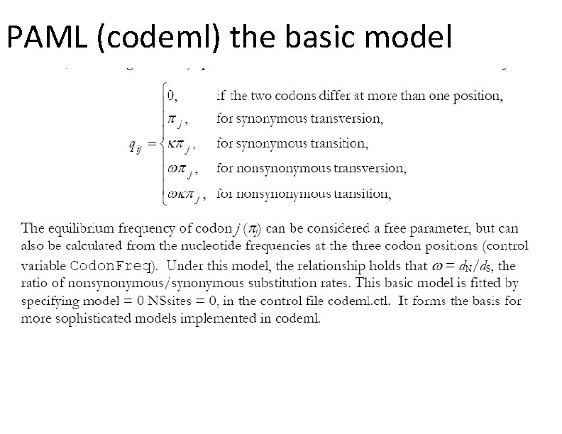 PAML (codeml) the basic model 