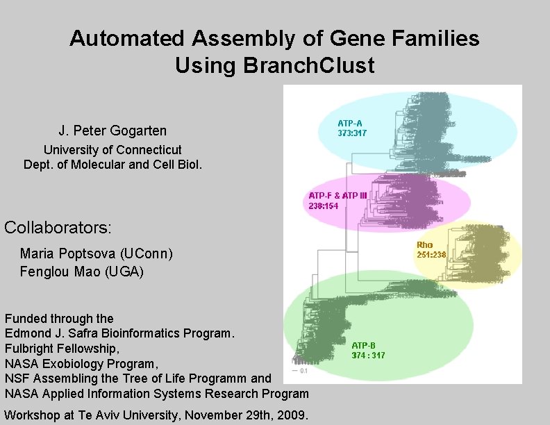 Automated Assembly of Gene Families Using Branch. Clust J. Peter Gogarten University of Connecticut