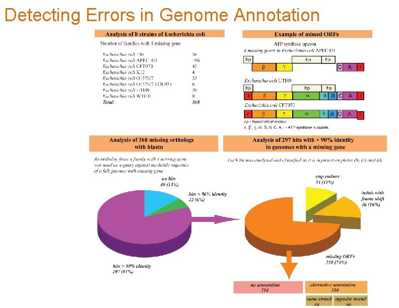 Detecting Errors in Genome Annotation 