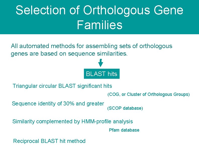 Selection of Orthologous Gene Families All automated methods for assembling sets of orthologous genes