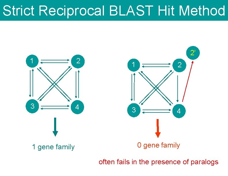 Strict Reciprocal BLAST Hit Method 2’ 1 2 3 4 1 gene family 1