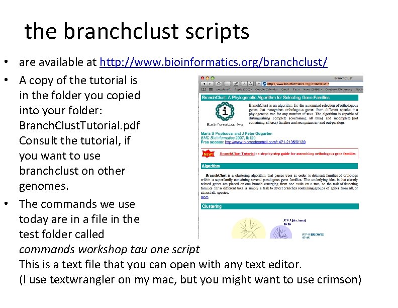 the branchclust scripts • are available at http: //www. bioinformatics. org/branchclust/ • A copy