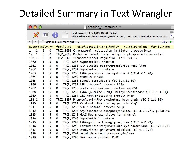 Detailed Summary in Text Wrangler 