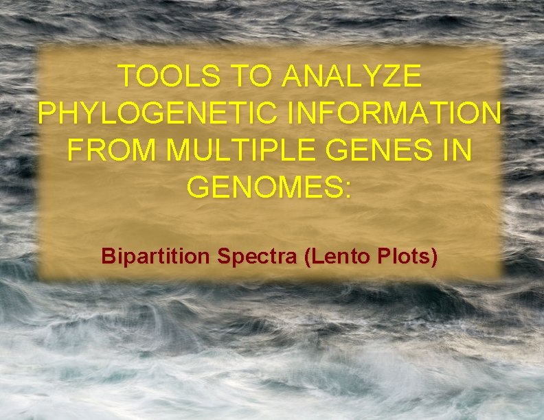 TOOLS TO ANALYZE PHYLOGENETIC INFORMATION FROM MULTIPLE GENES IN GENOMES: Bipartition Spectra (Lento Plots)