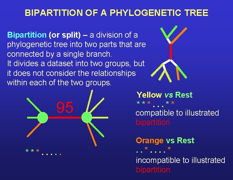 BIPARTITION OF A PHYLOGENETIC TREE Bipartition (or split) – a division of a phylogenetic