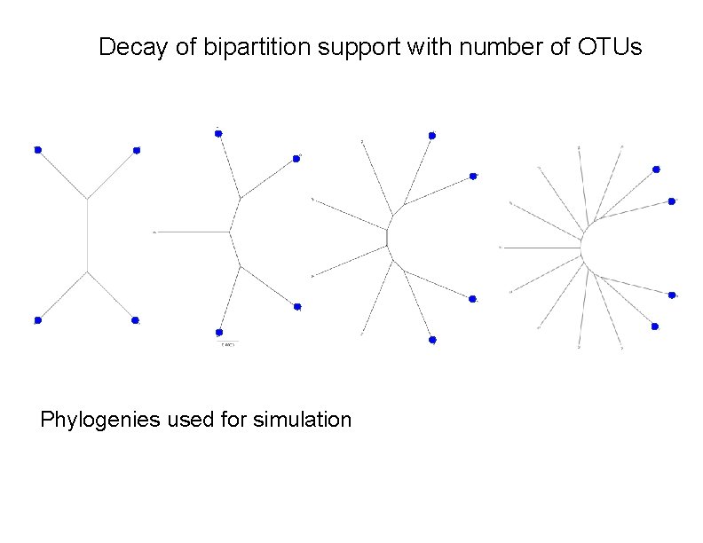 Decay of bipartition support with number of OTUs Phylogenies used for simulation 