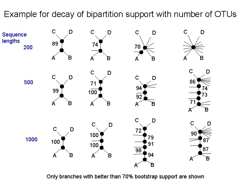 Example for decay of bipartition support with number of OTUs Sequence lengths 200 C