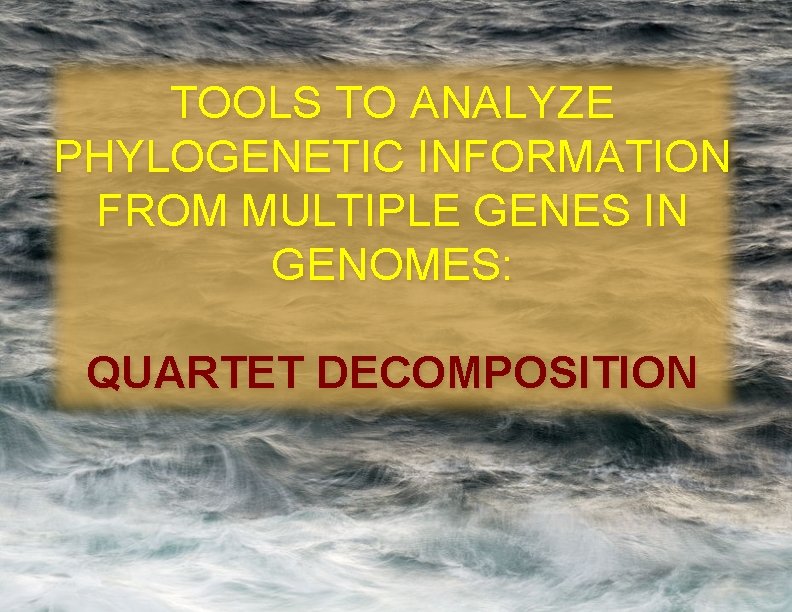 TOOLS TO ANALYZE PHYLOGENETIC INFORMATION FROM MULTIPLE GENES IN GENOMES: QUARTET DECOMPOSITION 