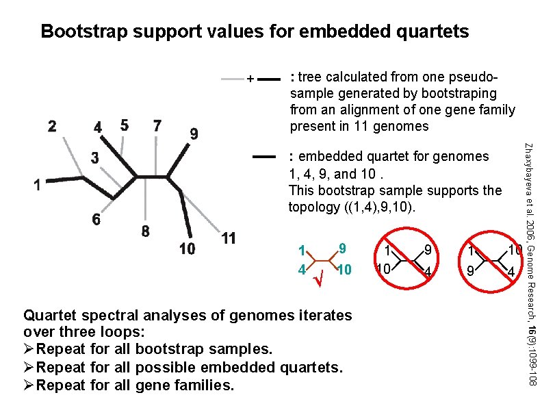 Bootstrap support values for embedded quartets + : tree calculated from one pseudosample generated