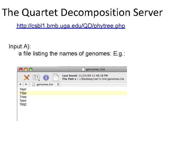 The Quartet Decomposition Server http: //csbl 1. bmb. uga. edu/QD/phytree. php Input A): a