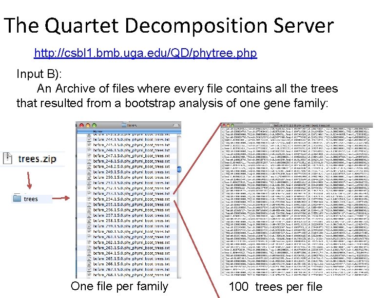 The Quartet Decomposition Server http: //csbl 1. bmb. uga. edu/QD/phytree. php Input B): An