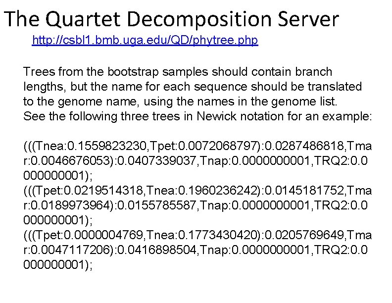 The Quartet Decomposition Server http: //csbl 1. bmb. uga. edu/QD/phytree. php Trees from the