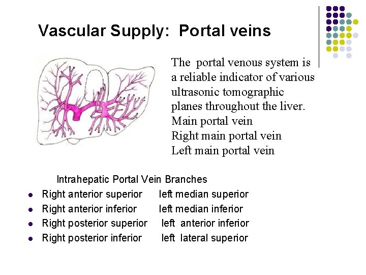 Vascular Supply: Portal veins The portal venous system is a reliable indicator of various