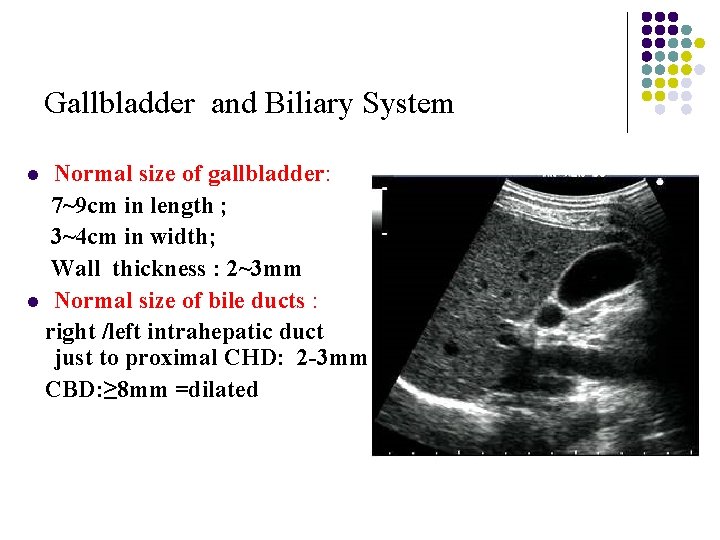 Gallbladder and Biliary System Normal size of gallbladder: 7~9 cm in length ; 3~4