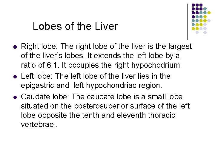 Lobes of the Liver l l l Right lobe: The right lobe of the