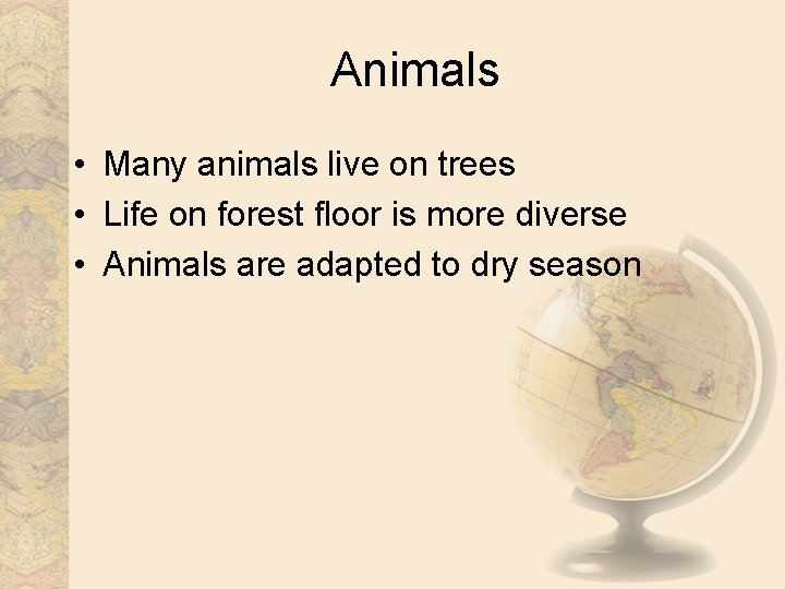 Animals • Many animals live on trees • Life on forest floor is more Animals • Many animals live on trees • Life on forest floor is more