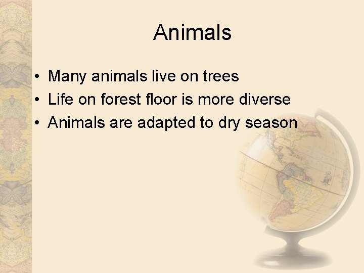 Animals • Many animals live on trees • Life on forest floor is more