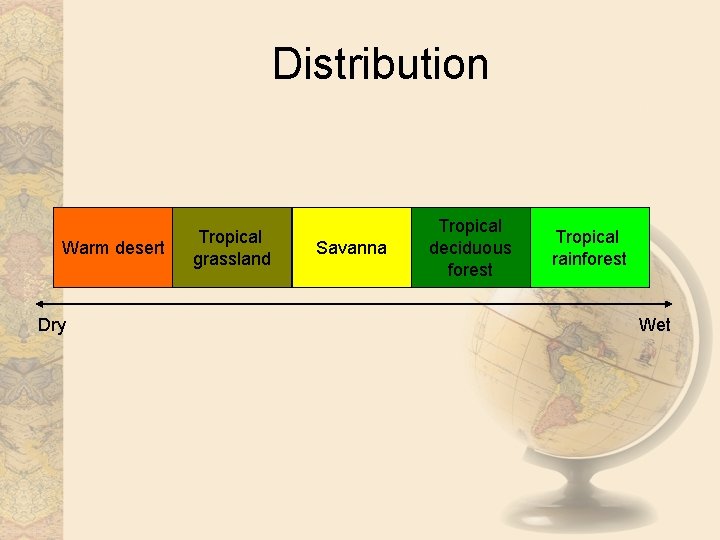 Distribution Warm desert Dry Tropical grassland Savanna Tropical deciduous forest Tropical rainforest Wet 