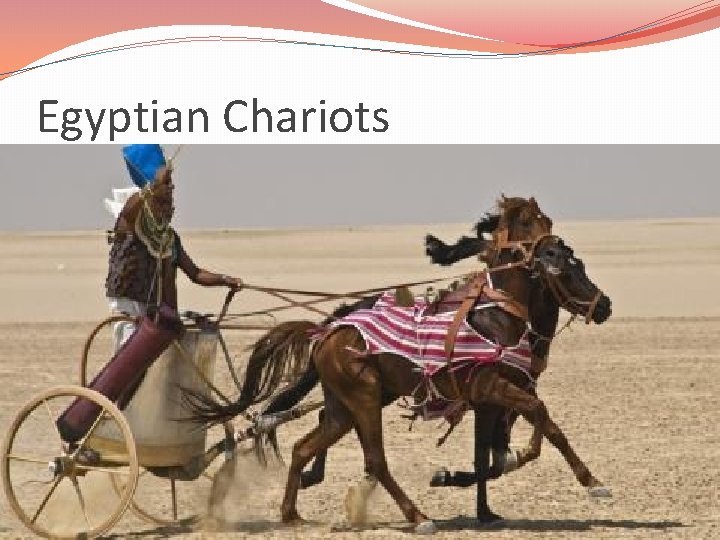 Egyptian Chariots Egyptian Chariots
