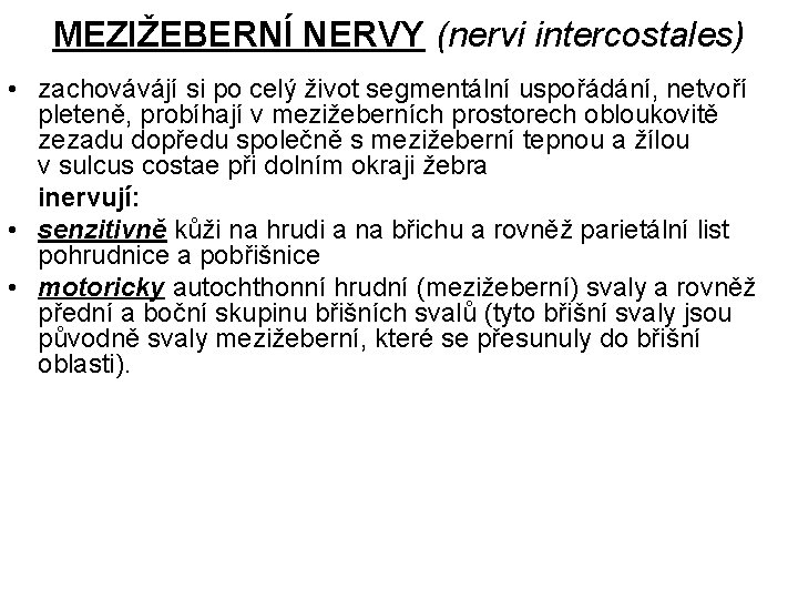 MEZIŽEBERNÍ NERVY (nervi intercostales) • zachovávájí si po celý život segmentální uspořádání, netvoří pleteně,