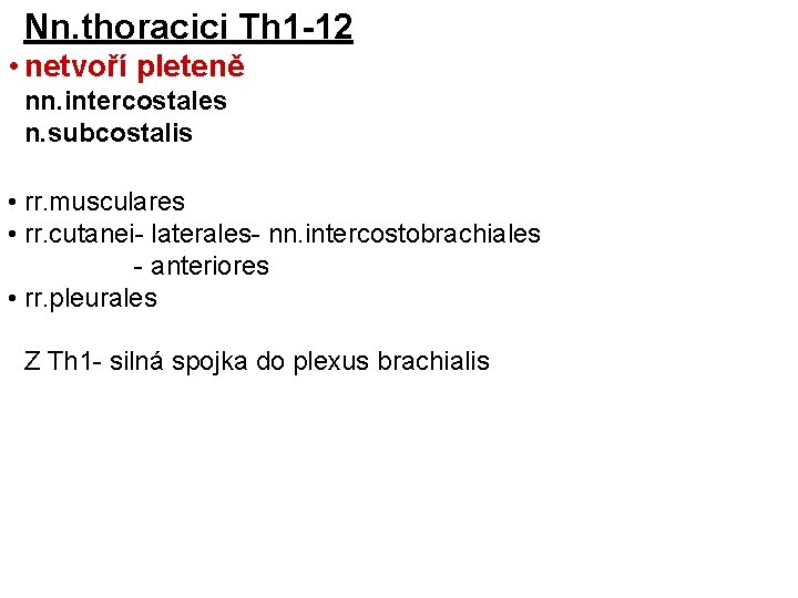 Nn. thoracici Th 1 -12 • netvoří pleteně nn. intercostales n. subcostalis • rr.