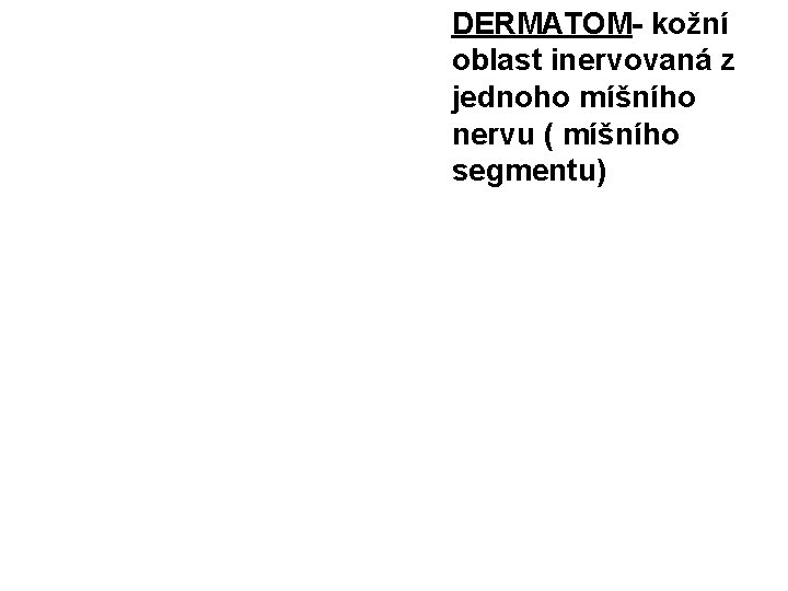 DERMATOM- kožní oblast inervovaná z jednoho míšního nervu ( míšního segmentu) 