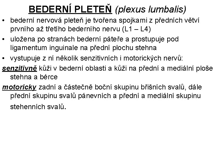 BEDERNÍ PLETEŇ (plexus lumbalis) • bederní nervová pleteň je tvořena spojkami z předních větví